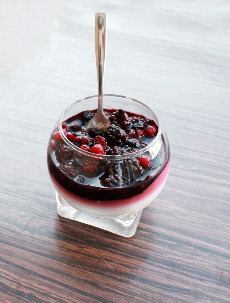  Panna cotta aux fruits rouges