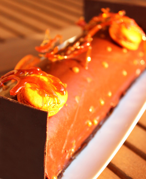 Buche-de-noel-choco-caramel-beurre-salé_accueil