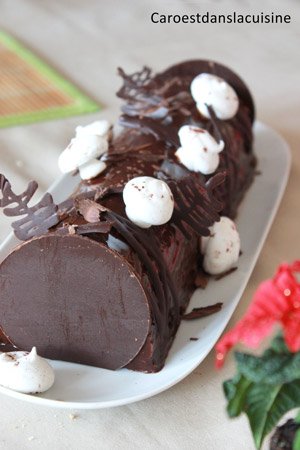 Bûche-framboises,-coco,-citron-vert-et-chocolat-accueil